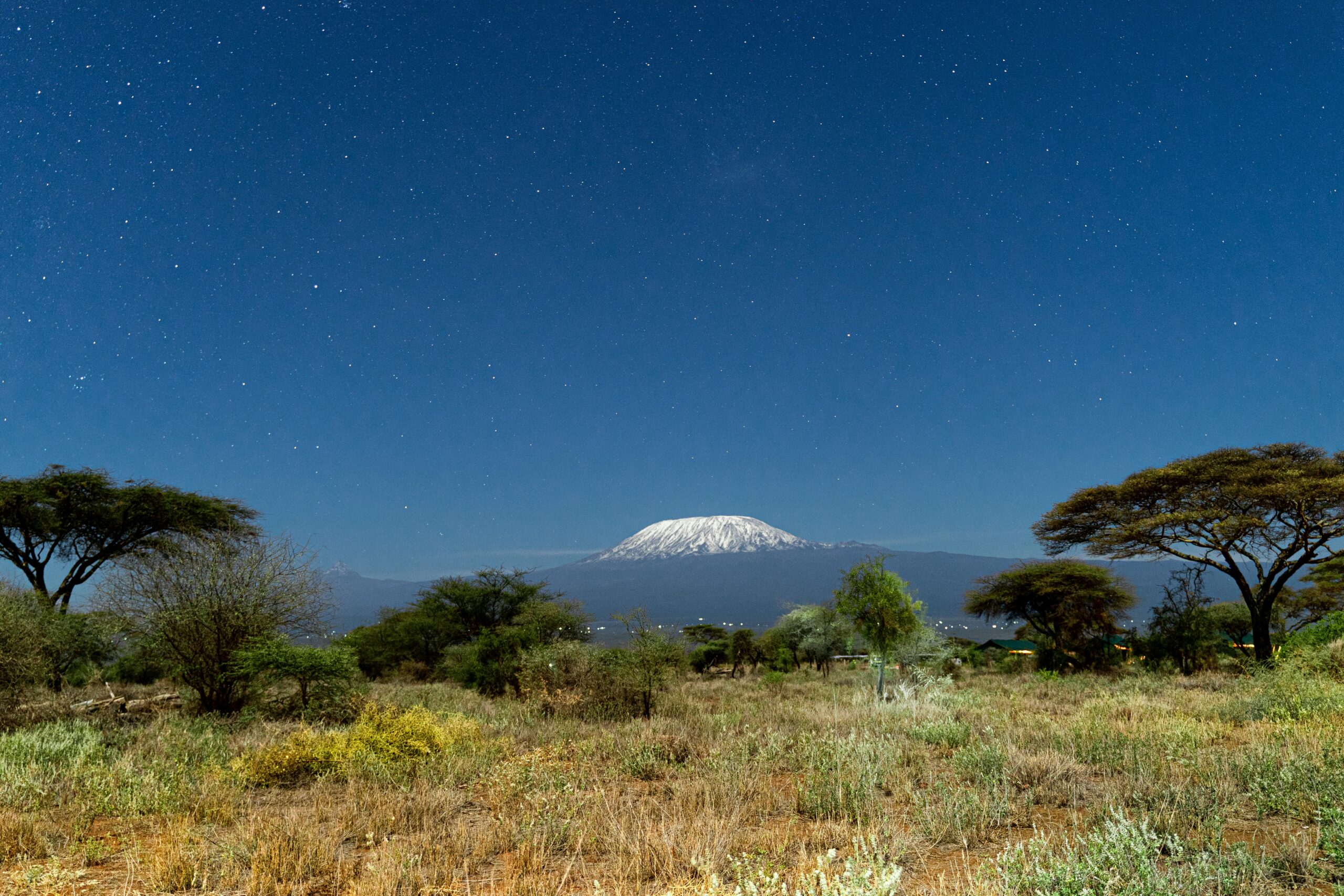 Marangu Day Hike (Mount Kilimanjaro Foothills)