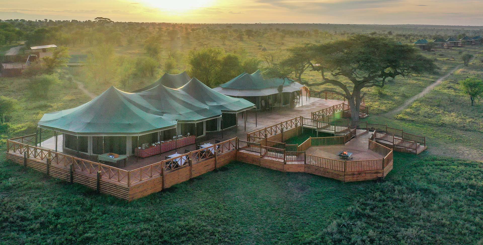 Acacia-Seronera-Luxury-Camp-Tanzania