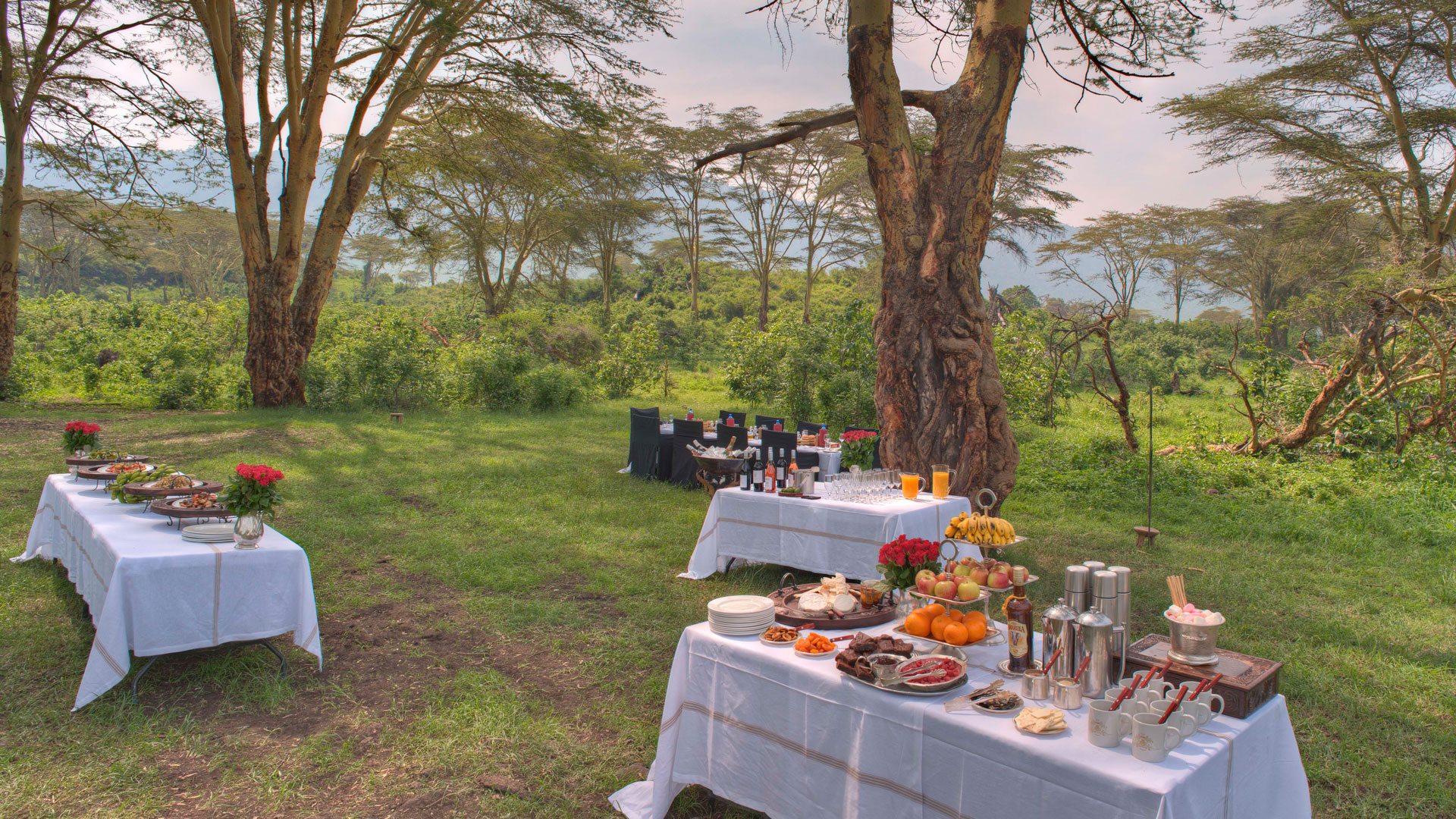 Crater-Floor-Banquet-at-Ngorongoro-Crater-andBeyond-Experience