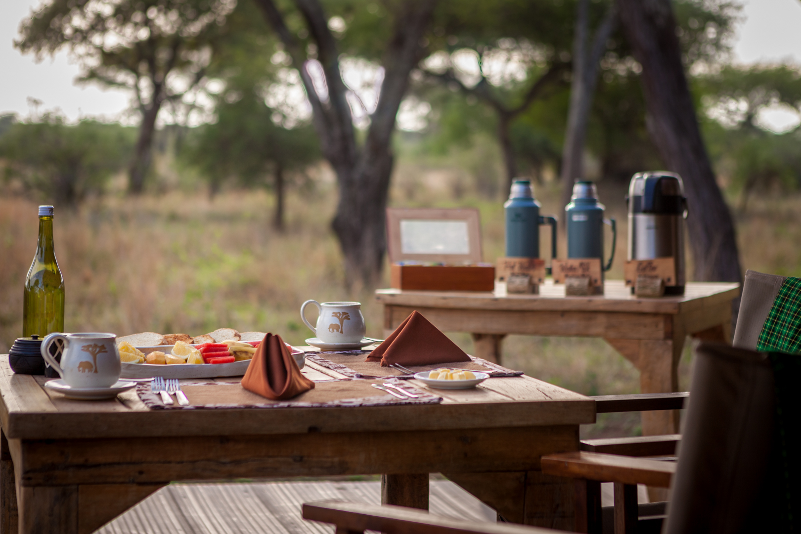 IM_TZ_TAR_Baobab-Tented-Camp_Dining-on-the-terrace-1