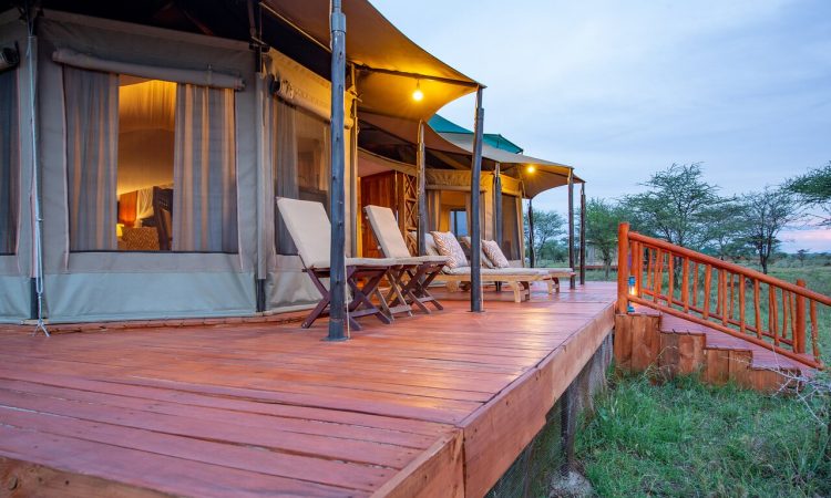 acacia-seronera-luxury-1-750x450