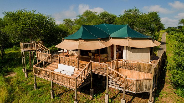 an-inviting-view-of-acacia (1)