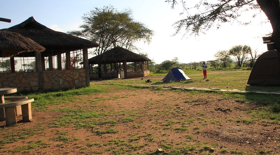 c-est-pourtant-bien-dommage