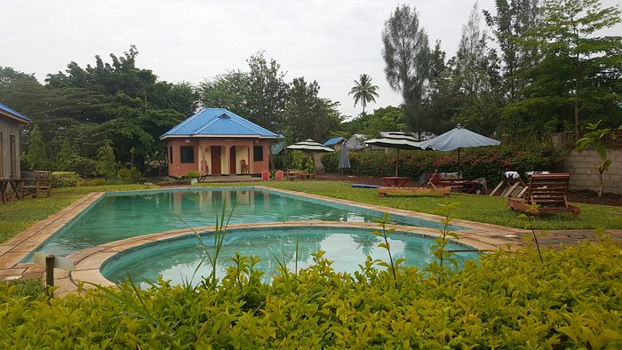 could-be-a-nice-pool