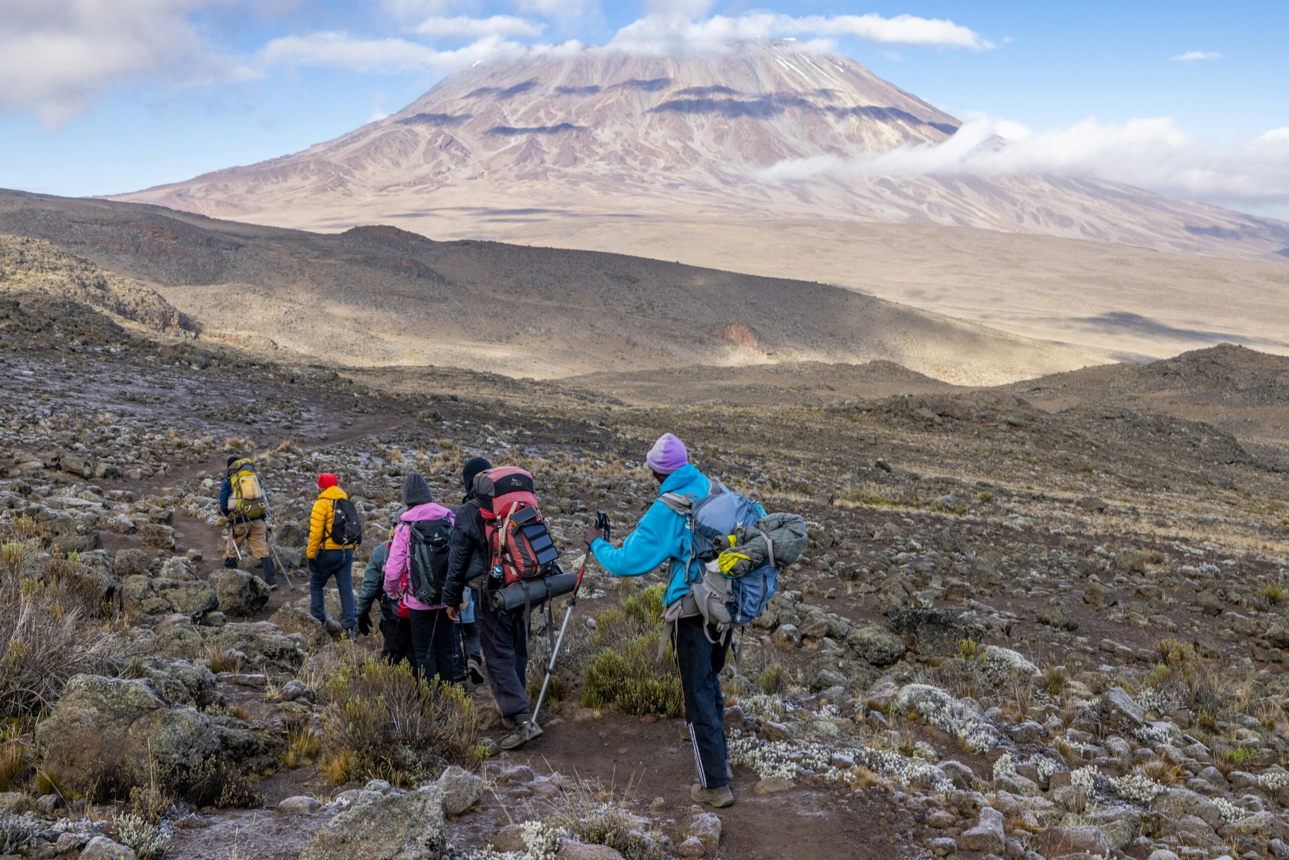Londorosi Day Hike (Shira Plateau – Kilimanjaro West)