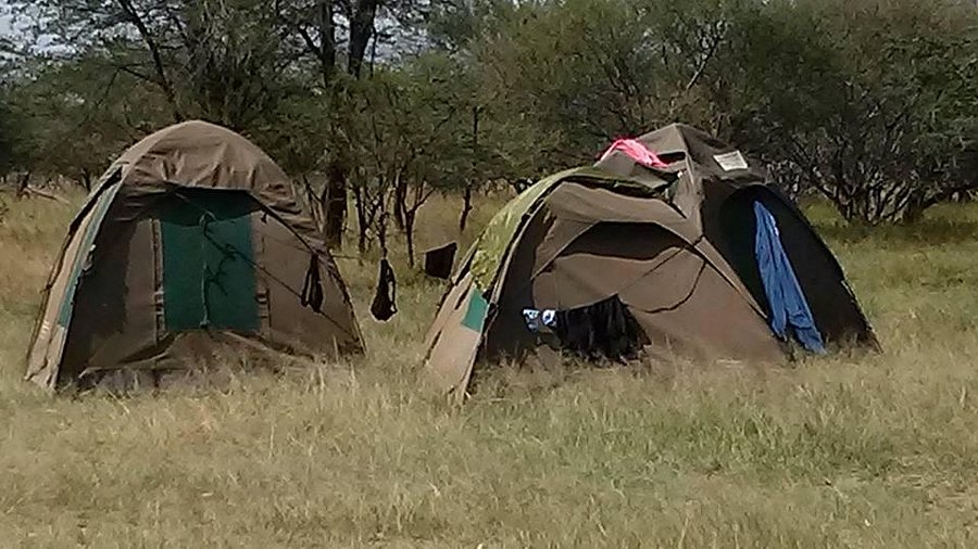 seronera-public-campsite