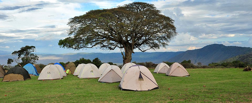 simba-campsite